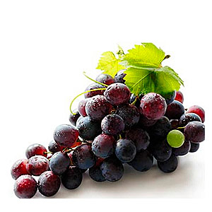 Виноград Конкорд красный (Grape concord)  ― WEBJUICE.ru