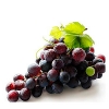 Виноград Конкорд красный (Grape concord) 