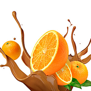 Апельсин с шоколадом Stockmeier Food ― WEBJUICE.ru